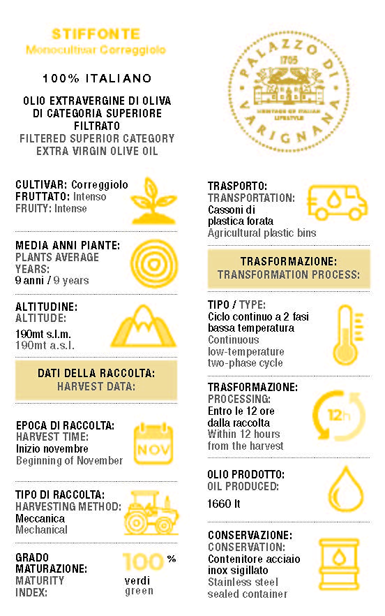 Correggiolo Extra Virgin Olive Oil Monocultivar 16.9 floz