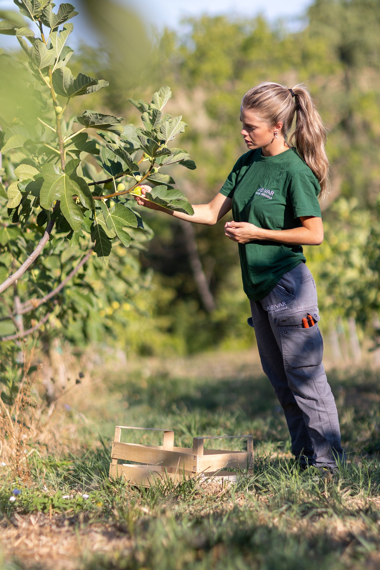 Agrivar Farm