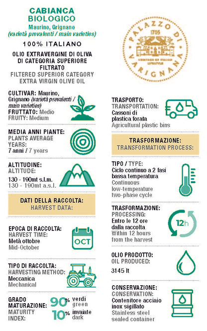 Classic Duo Extra Virgin Olive Oil Holiday Gift Box