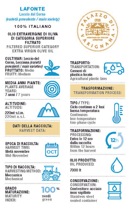 Classic Duo Extra Virgin Olive Oil Holiday Gift Box