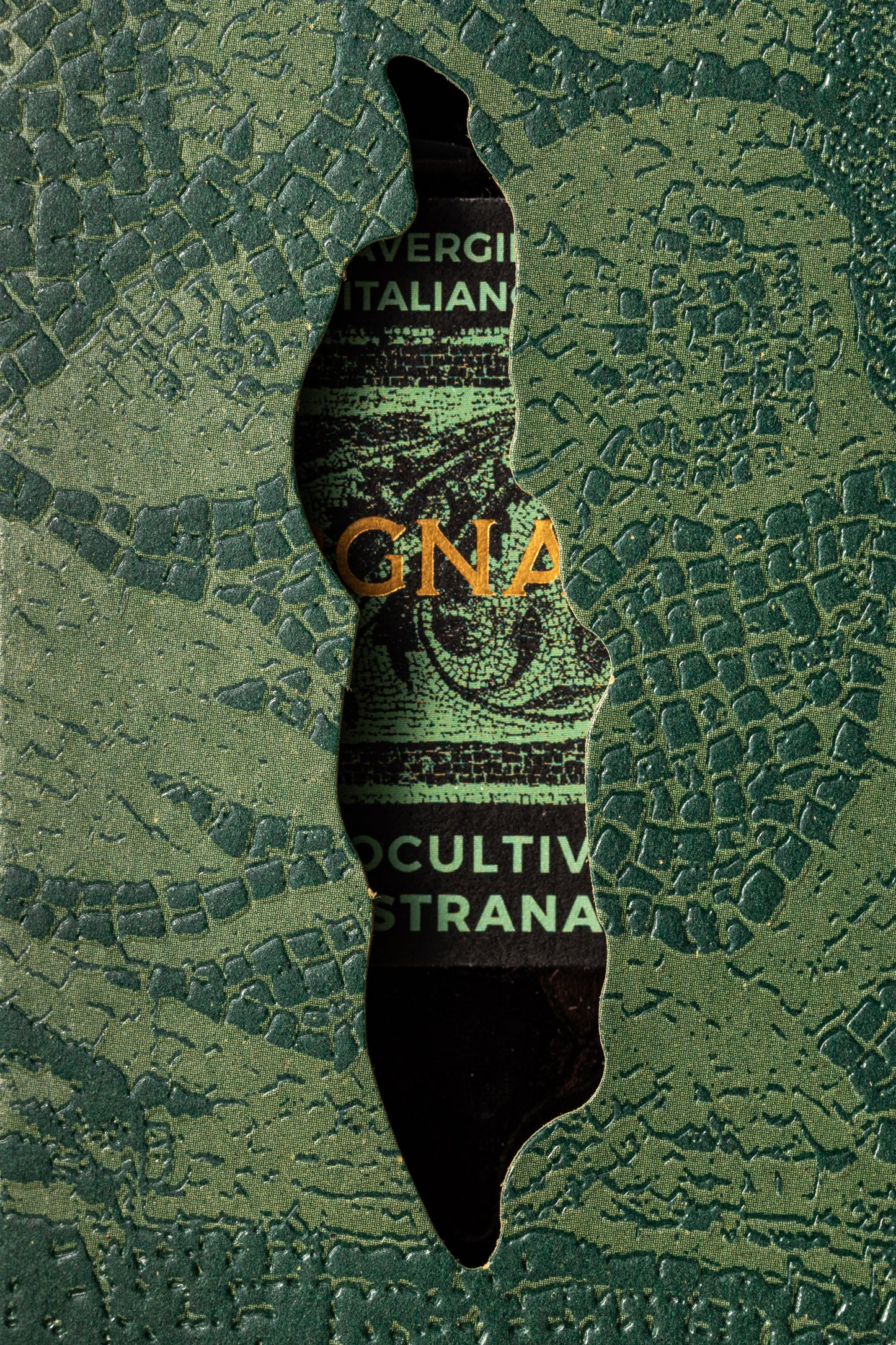 Gift Box for Extra Virgin Olive Oil Monocultivar