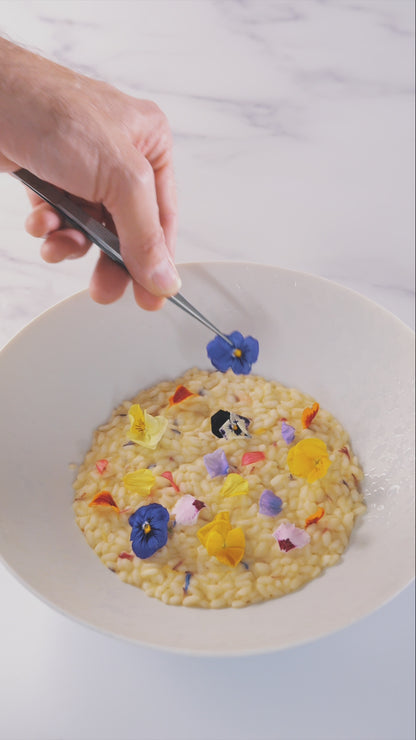 Classic Duo Extra Virgin Olive Oil Holiday Gift Box